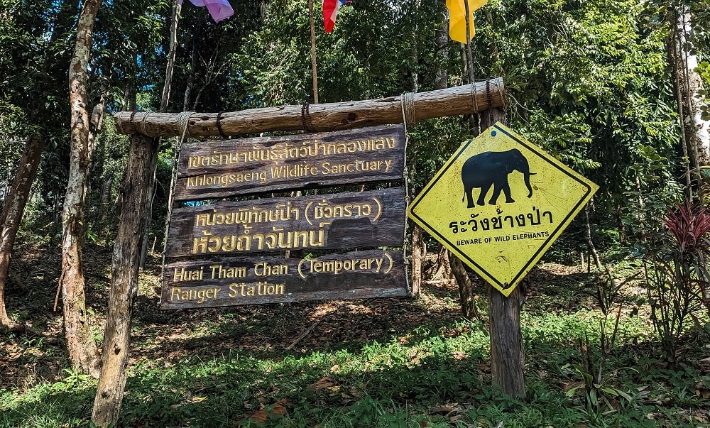 Khlong Saeng Wildlife Sancturary